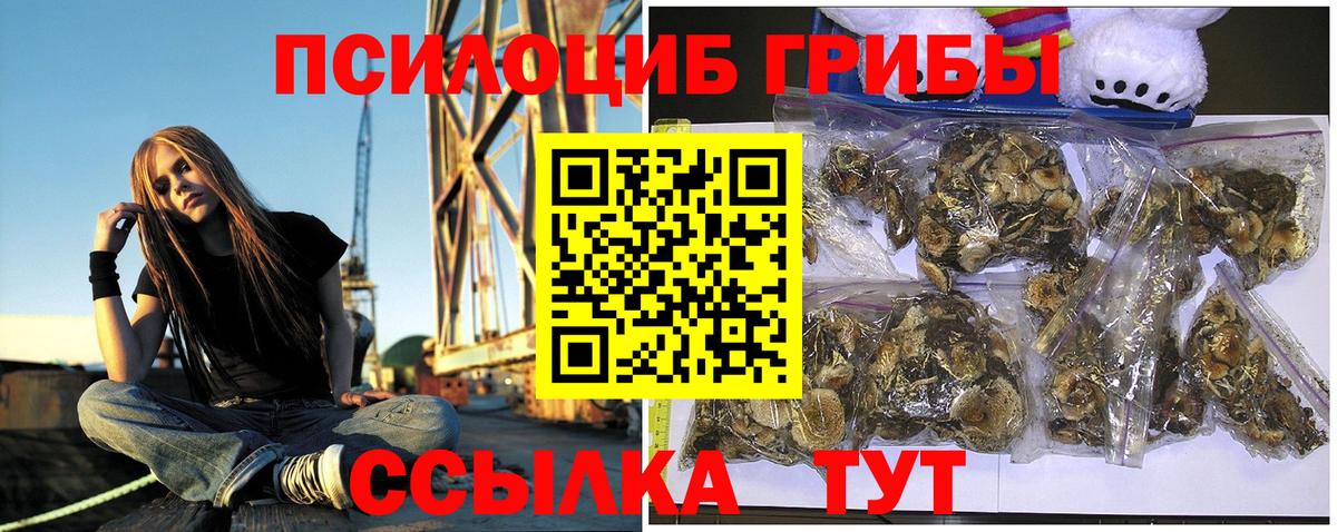 Галлюциногенные грибы Cubensis  Миасс  купить закладку  Галлюциногенные грибы Psilocybe 