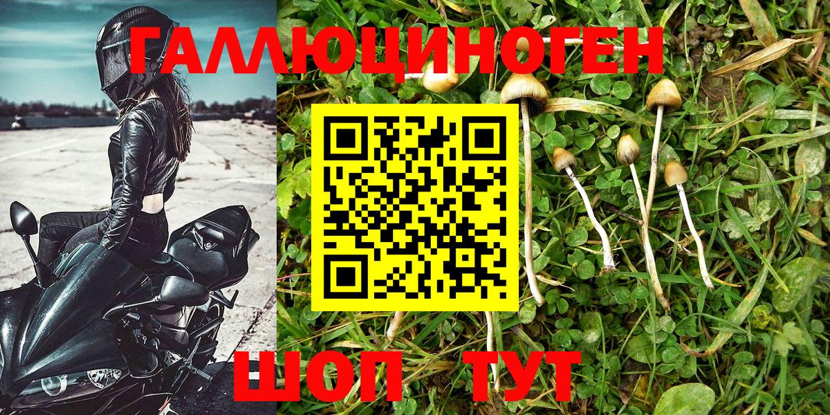 Псилоцибиновые грибы ЛСД Миасс