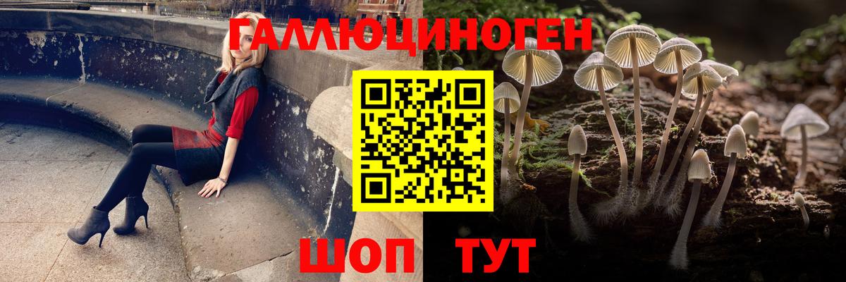 Галлюциногенные грибы Cubensis Миасс