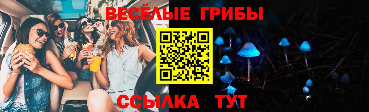 Миасс  Галлюциногенные грибы прущие грибы  Вход с VPN 